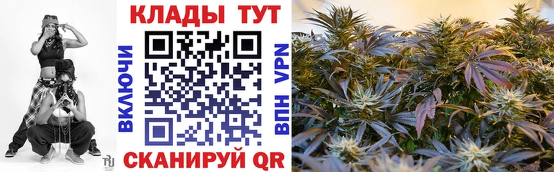 Магазины продажи наркотиков Каргат КОКАИН  Codein  МАРИХУАНА  Меф мяу мяу 