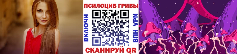 Галлюциногенные грибы MAGIC MUSHROOMS  цены   Каргат 